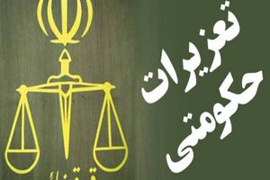 افزایش ۲۰ برابری برخورد سازمان تعزیرات حکومتی با تخلفات بازار