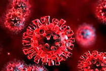 ۲۰ مورد جدید کرونا در استان شناسایی شد