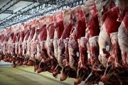 حذف دلالان و واسطه ها از بازار گوشت/ قیمت گوشت باید کاهش یابد