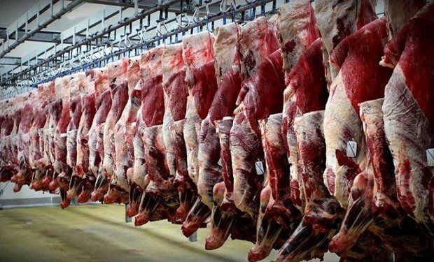 تعهد تولید ۵۰۰ هزار تن مواد پروتئینی در سال جاری