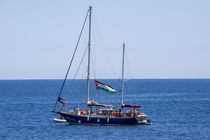 فعال داوطلب ترکیه ای فردا از بازداشت صهیونیست ها آزاد می‌شود