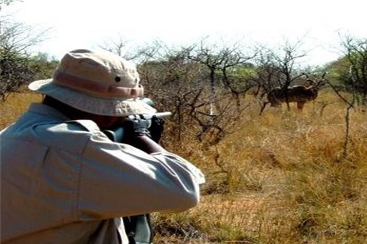 شکارچی متخلف