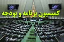 کمیسیون برنامه و بودجه مجلس، ۸ مستشار دیوان محاسبات کشور را انتخاب کرد