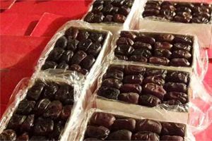 کشف 9 تن خرمای احتکار شده در شهرستان برخوار / دستگیری یک نفر توسط نیروی انتظامی