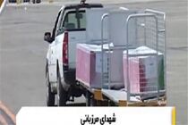عذرخواهی سخنگوی ناجا درباره انتقال اجساد شهدای مرزبانی