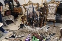 محموله بزرگ حیوانات تاکسیدرمی و سلاح در تهران کشف شد