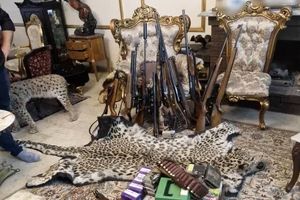 محموله بزرگ حیوانات تاکسیدرمی و سلاح در تهران کشف شد