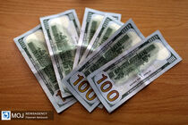 قیمت ارز امروز ۲۶ بهمن ۱۴۰۲ در بازار آزاد تهران مشخص شد