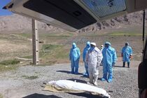 فوت 13 بیمار اصفهانی براثر کرونا در شبانه روز گذشته/ شناسایی 344 ابتلای جدید به ویروس کرونا
