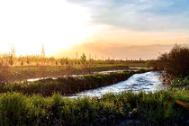 ایجاد فضای درختکاری در ۲۴۵ هکتار از محدوده رودخانه کشف رود