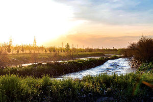 ایجاد فضای درختکاری در ۲۴۵ هکتار از محدوده رودخانه کشف رود