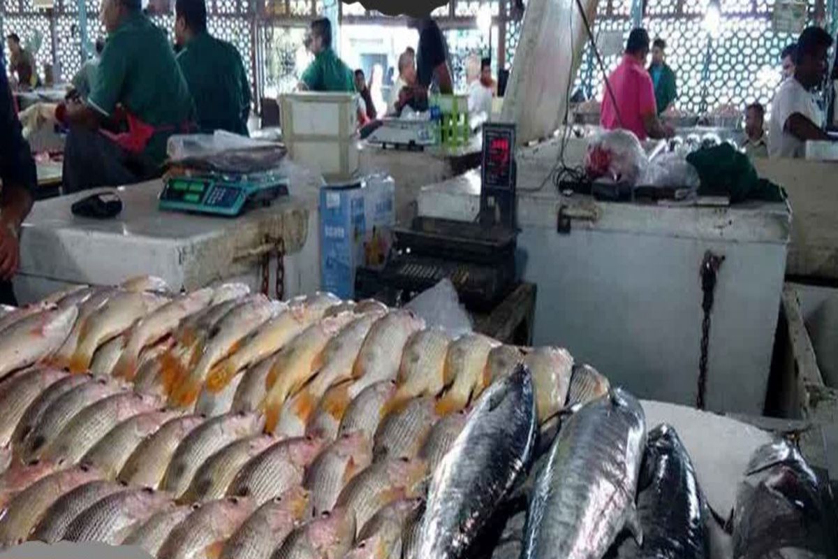 بارانداز ماهی