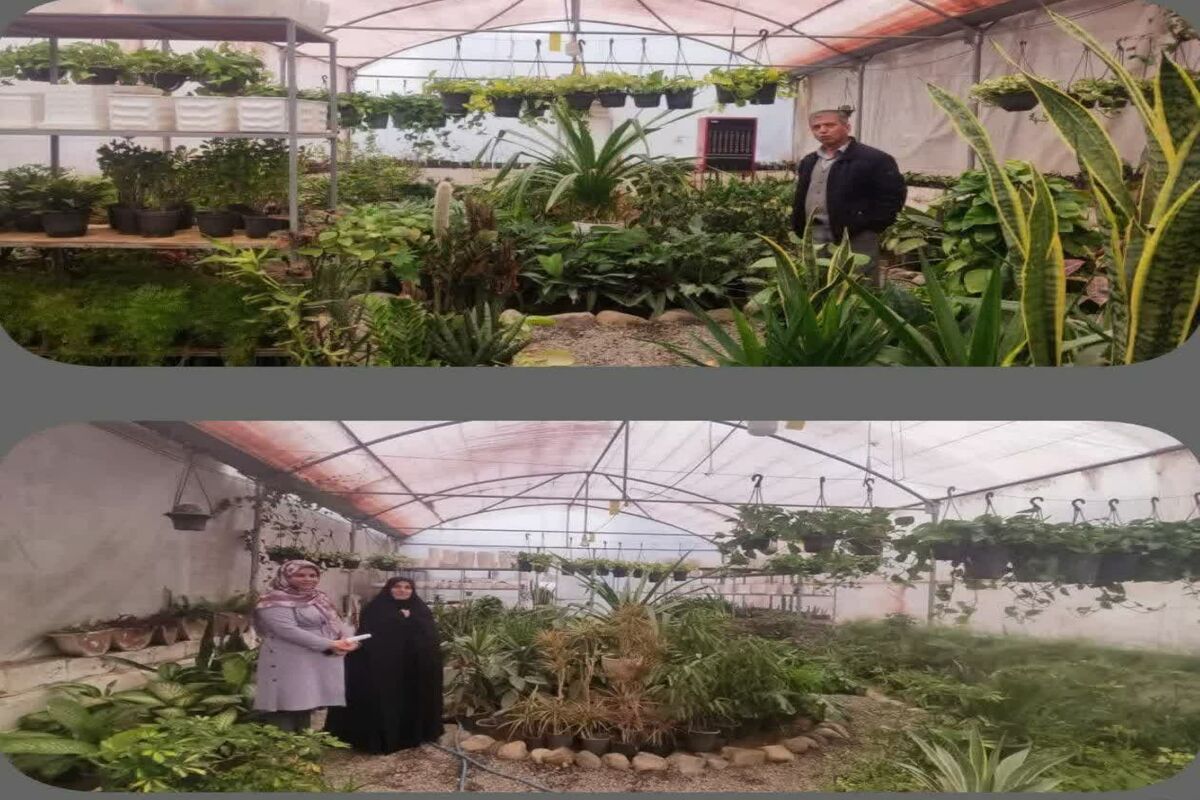 گیاهان گلخانه ای
