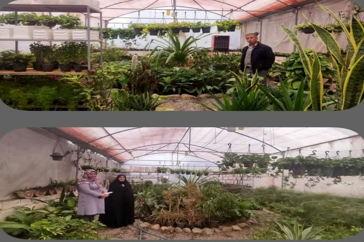 گیاهان گلخانه ای