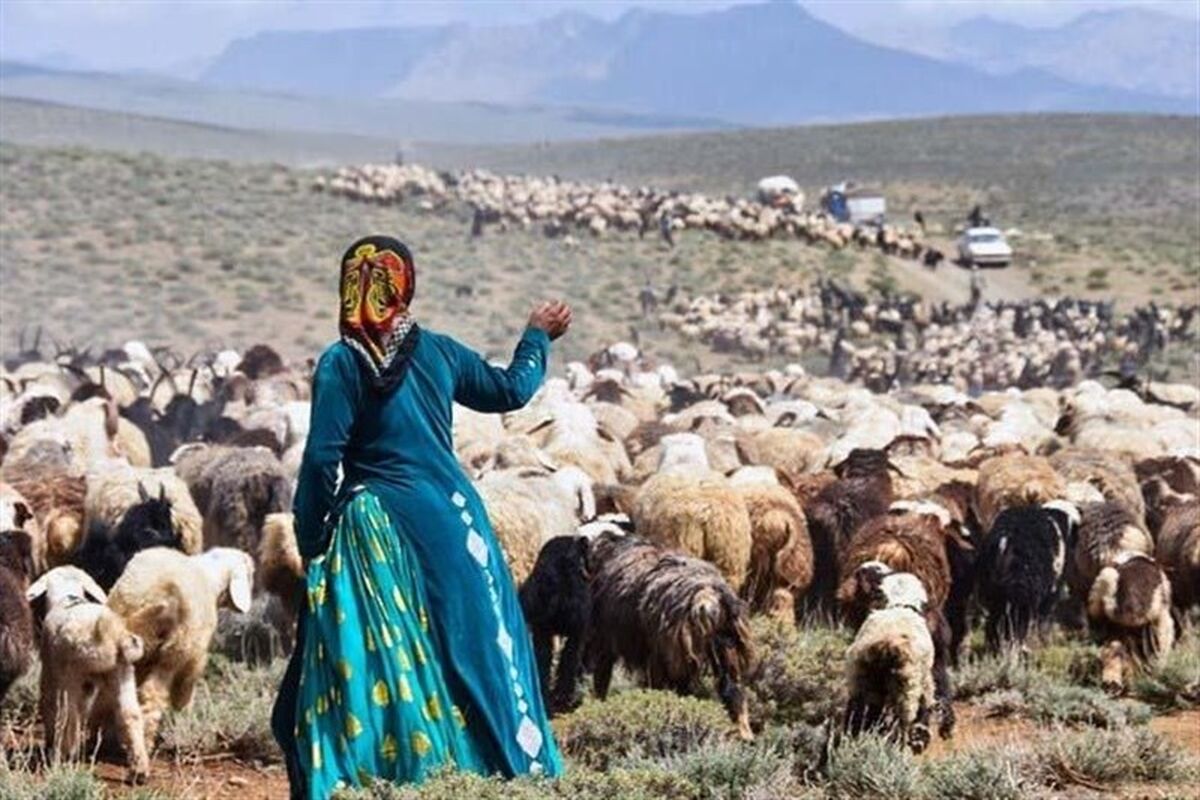 عشایر