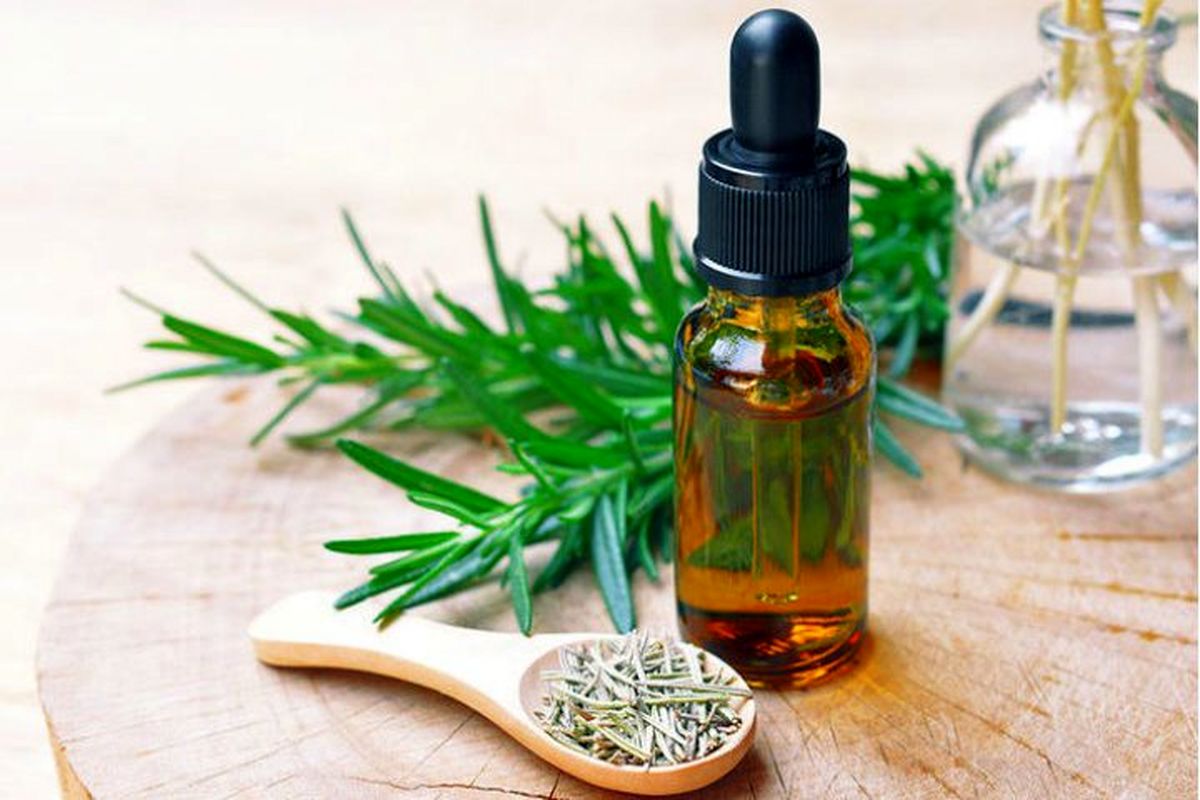 صادرات 8 میلیون دلاری انواع فرآورده های گیاهان دارویی