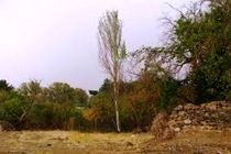 بیش از ۱۵۰ هکتار از زمین‌های سراب قنبر به بوستان تبدیل می‌شود