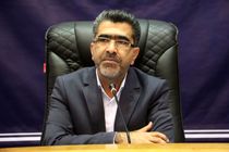 قاچاق کالا موجب تضعیف روحیه تولید کننده داخلی می شود