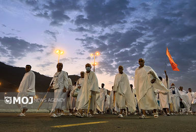 تأیید استطاعت جسمی بیش از ۹۲ درصد زائران حج تمتع ۱۴۰۵