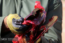 کشف 4 تن و 838 کیلوگرم انواع مواد مخدر در هرمزگان