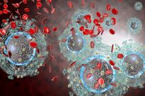  نشست بررسی افزایش آمار سرطان در گیلان برگزار شد