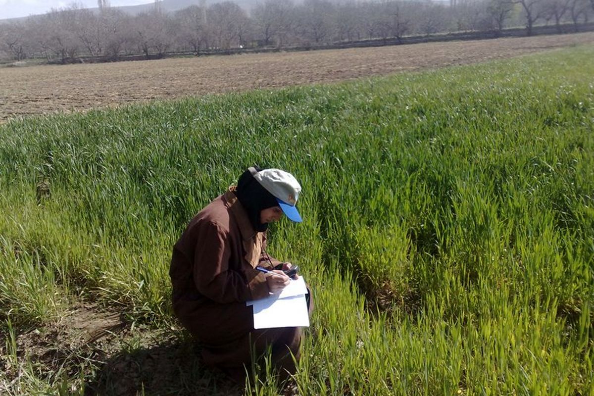 733642.jpgفارغ التحصیل کشاورزی