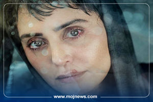 اینفوگرافیک/معرفی فیلم‌های جشنواره فجر/آرامبخش