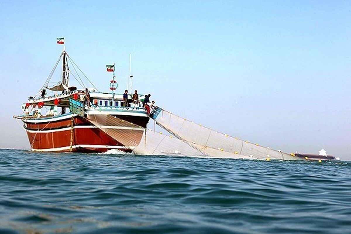 صیادی (2)