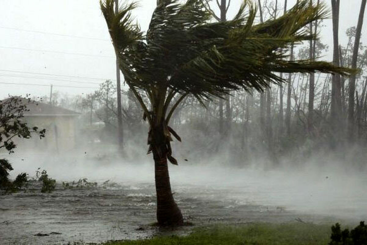 بارش مونسون