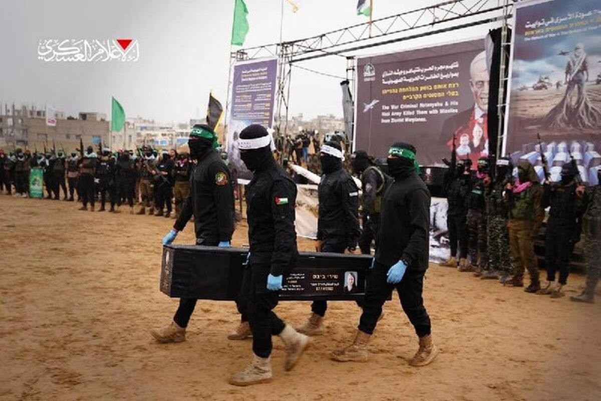 القسام