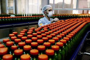 رتبه نخست تولید محصولات کشاورزی شهرستان بهار در استان/ بهار دارای ظرفیتی  مطرح  در صنایع تبدیلی