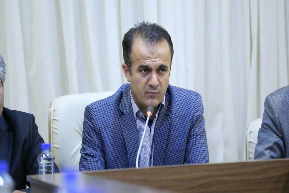 محمد مسیحی معاون سازمان امور مالیاتی