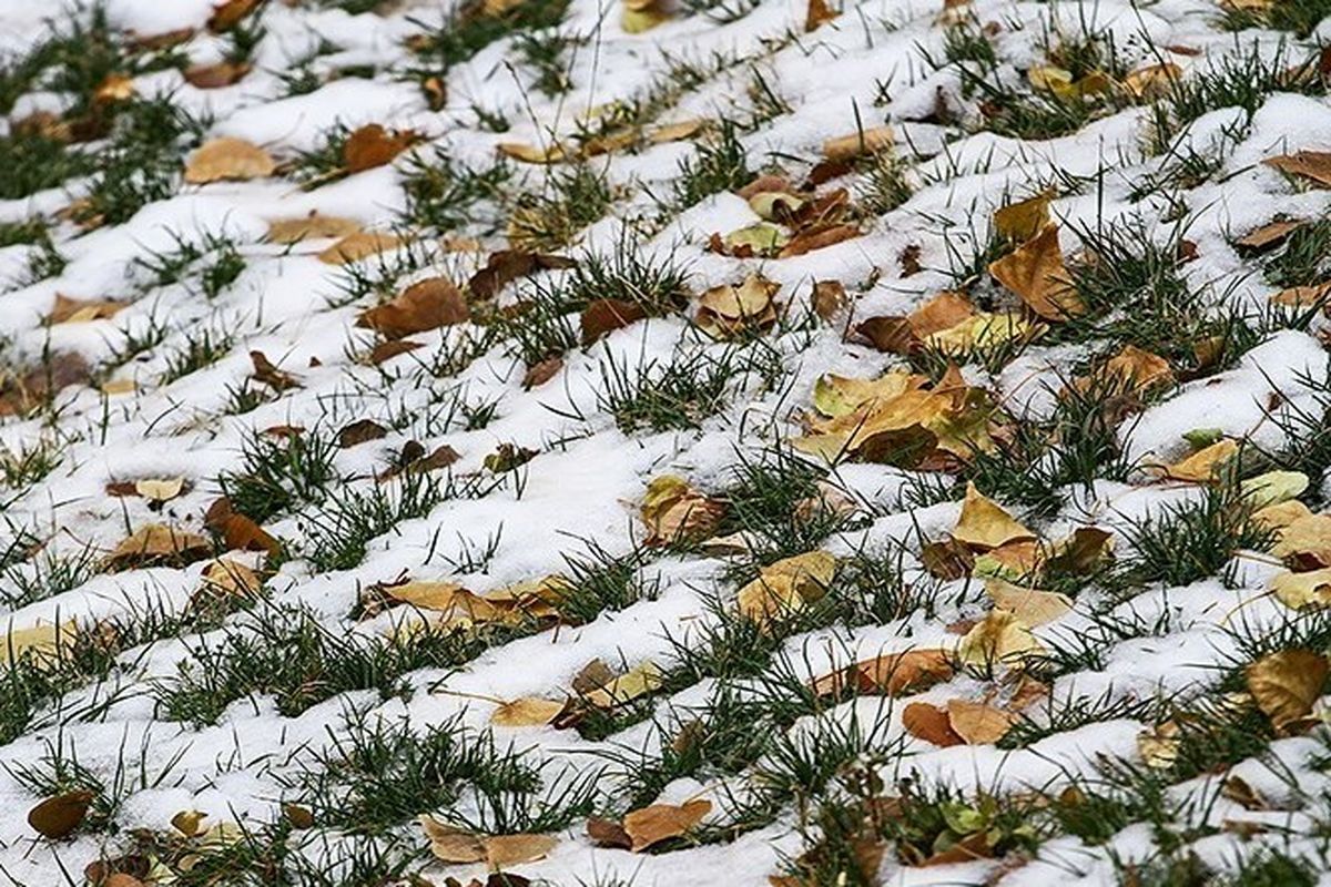 کاهش ۱۶ درجه‌ای دمای هوا در استان گلستان