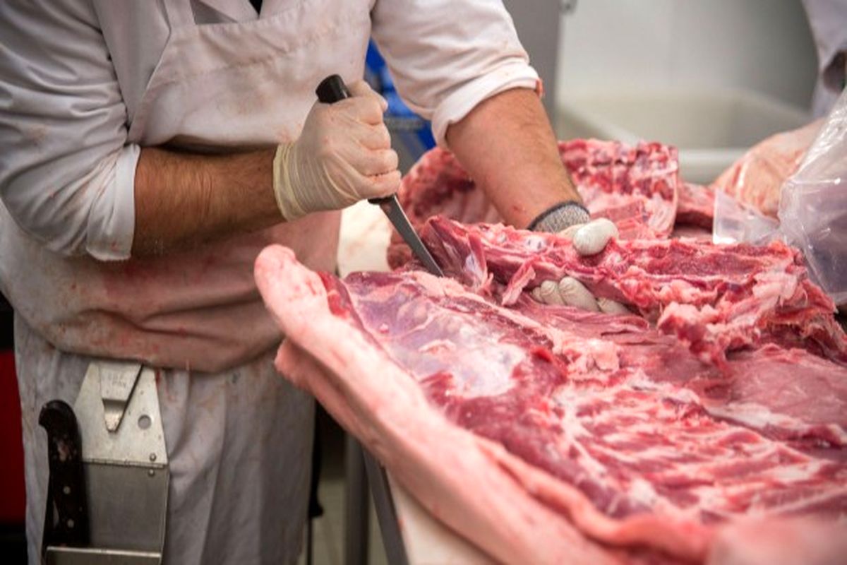 تب کریمه کنگو