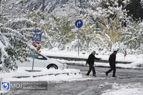 تمام مدارس تهران یکشنبه ۲۹ دی تعطیل شد