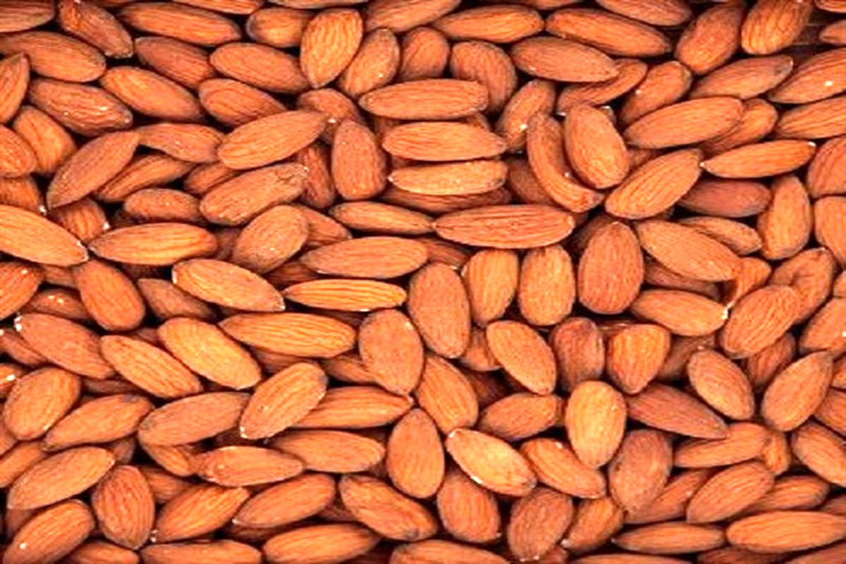 اصفهان- مغز بادام قاچاق