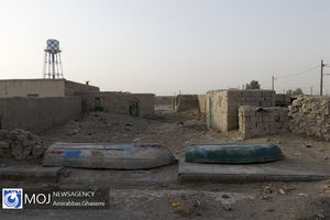 هامون نشینان در رویای آب