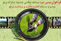  مسابقه عکاسی جشنواره شکرانه برنج با موضوع کاشت ، داشت و برداشت برنج 