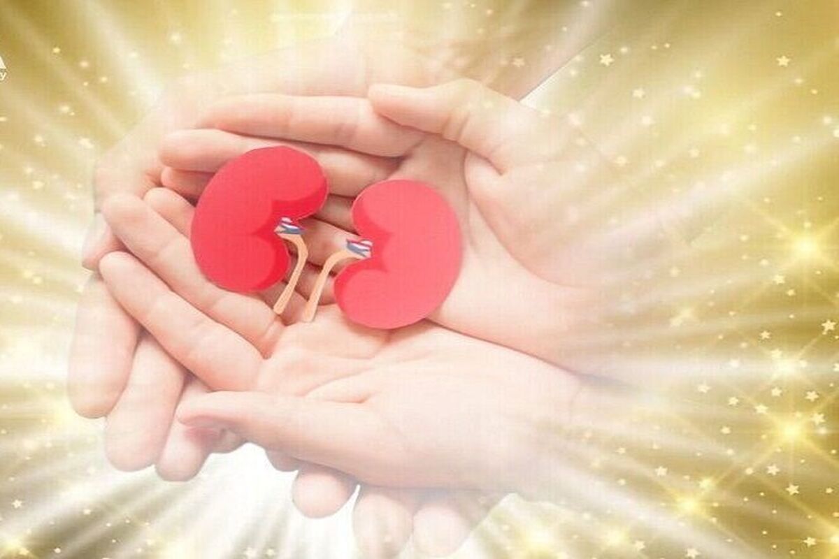 اهدا عضو