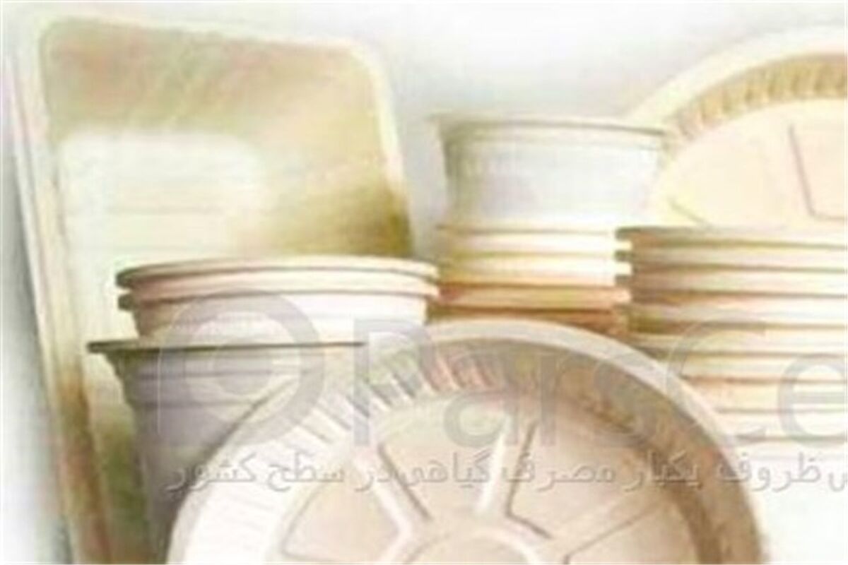 ظرف یکبار مصرف