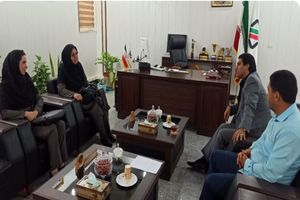 نظارت استاندارد بر تولیدات داخلی، رشد تولید را به همراه دارد