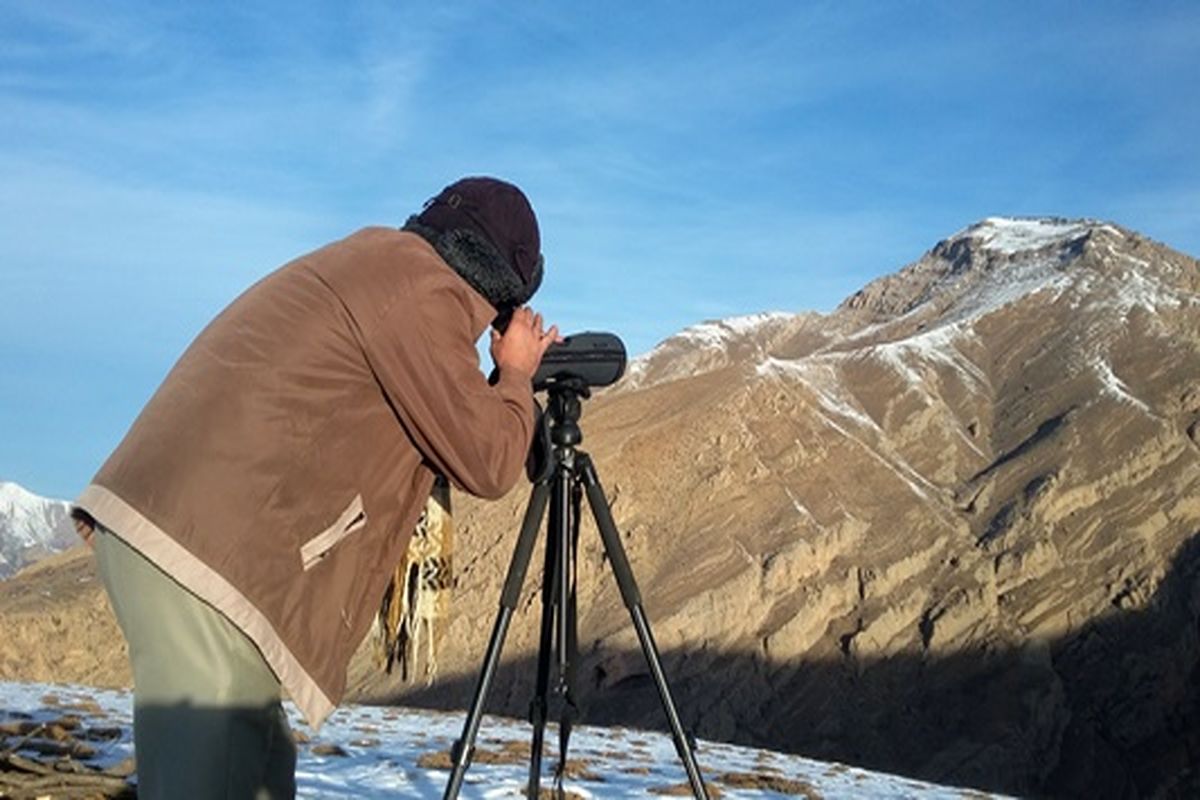 سرشماری کل و بز