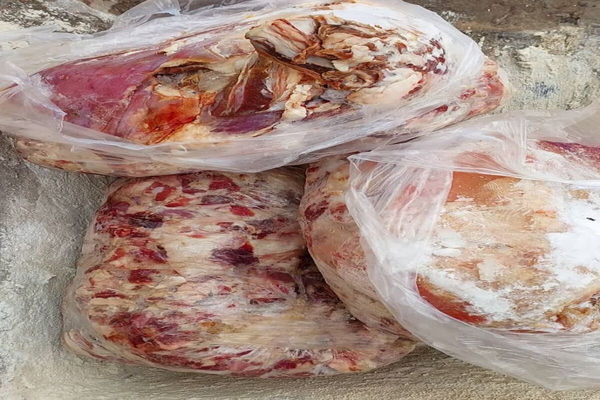 گوشت فاسد
