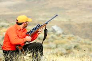 شکار پرندگان مهاجر وحشی تا اطلاع ثانوی ممنوع است