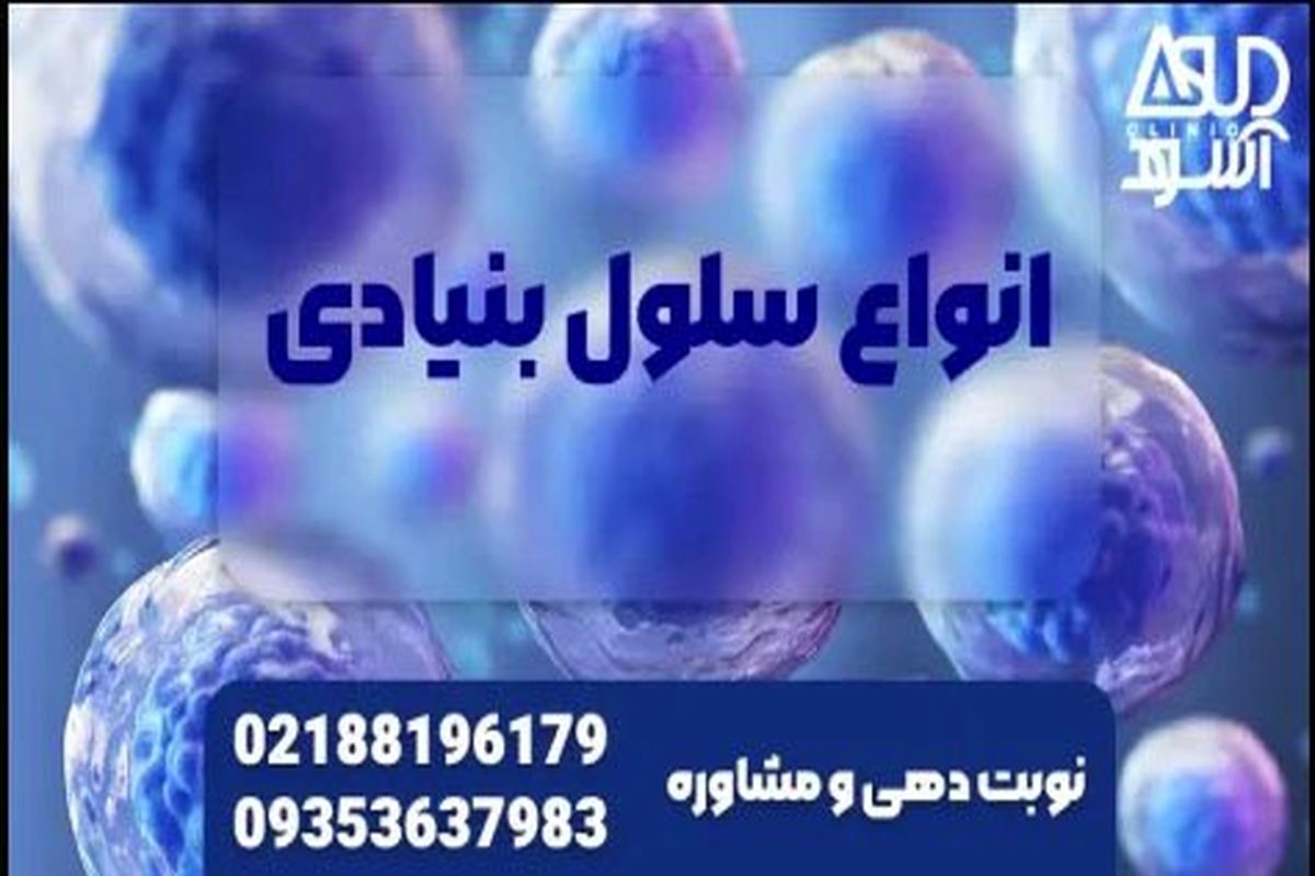 سلول بنیادی