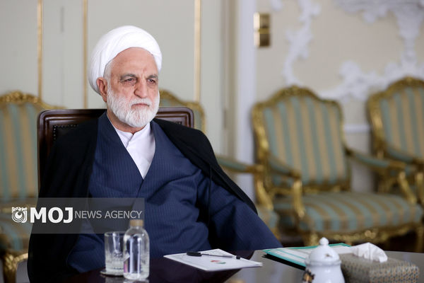 بخشی از اختیارات قانونی خود را به رؤسای کل دادگستری استان‌ها تفویض کرده‌ام