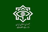 بیانیه وزارت اطلاعات در آستانه برگزاری مراسم تشییع رهبر شهید انقلاب 