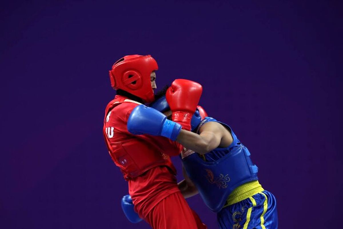 الله منصوریان ووشو سانداکار