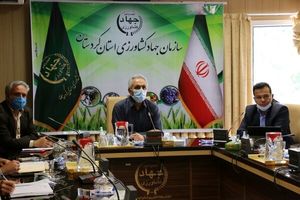 افزایش جایگزینی ارقام گندم سازگار با وضعیت کردستان توسط کشاورزان