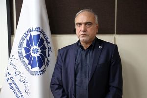 دولت فرصت استفاده از ارز مبادله ای را بدهد